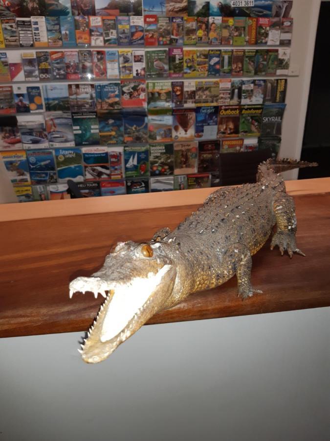 Travellers Paradise Cairns Ngoại thất bức ảnh A model of a saltwater crocodile