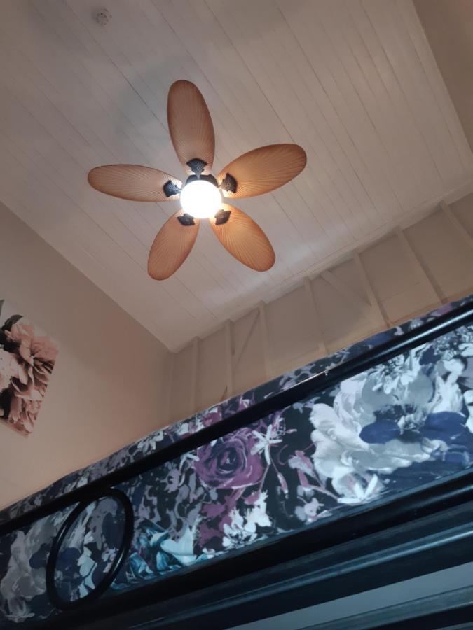 Travellers Paradise Cairns Ngoại thất bức ảnh A ceiling fan with a light kit