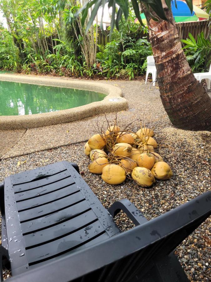 Travellers Paradise Cairns Ngoại thất bức ảnh Coconuts at a pool in Fiji