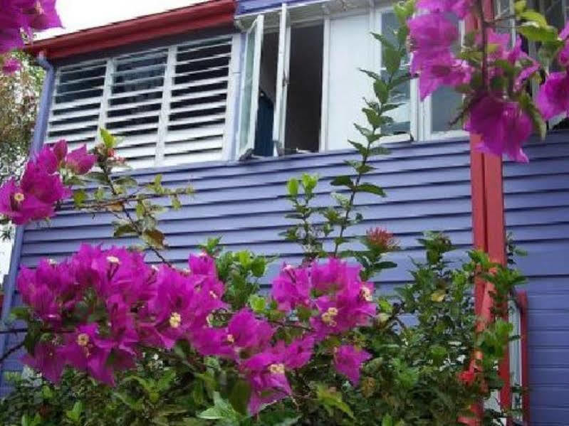 Travellers Paradise Cairns Ngoại thất bức ảnh Bougainvillea