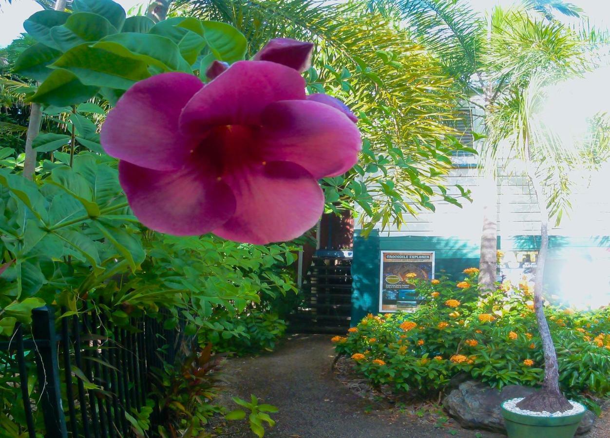 Travellers Paradise Cairns Ngoại thất bức ảnh A garden in Hawaii